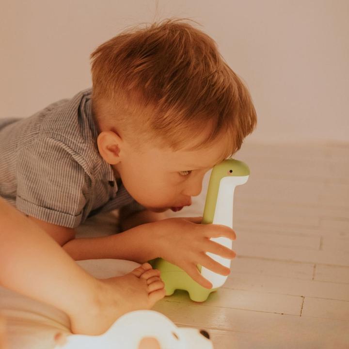 Produktbild Marys Lampe Dinosaurier