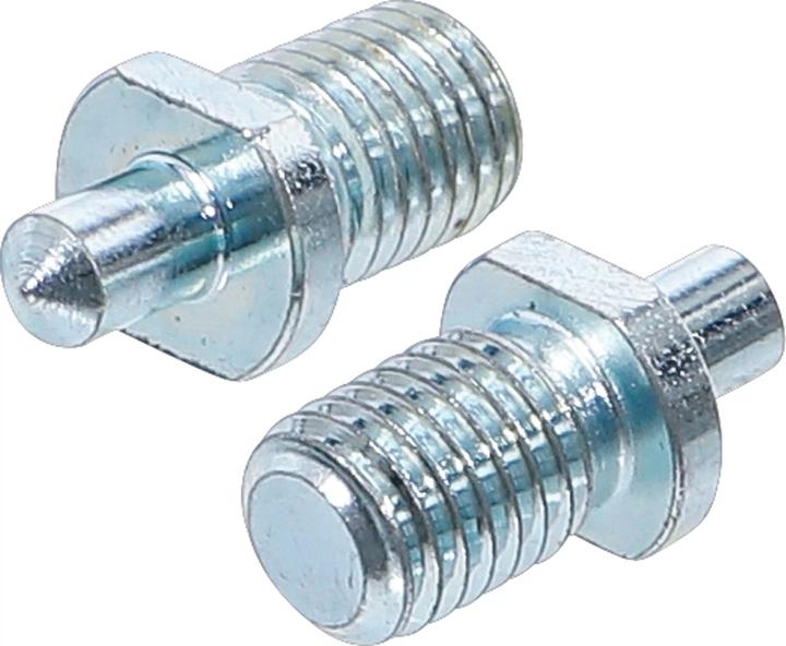 Actual product image BGS Pin Pair Ø 5 mm for 1464