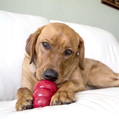 Produktbild KONG Snacks Bacon / Cheese (198 g)