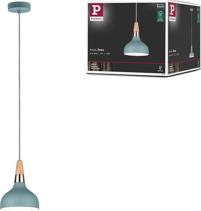 Actual product image Paulmann Juna (E14)