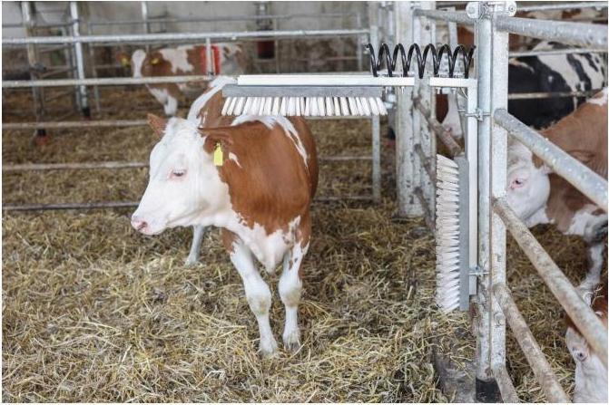 Produktbild Kerbl Ersatzbürste zu Viehbürste Texas
