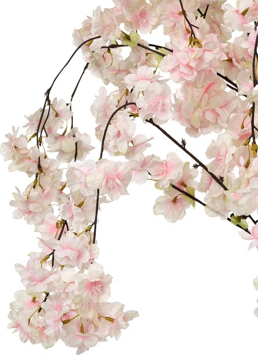 Immagine prodotto Beliani Cherry Tree (190 cm)