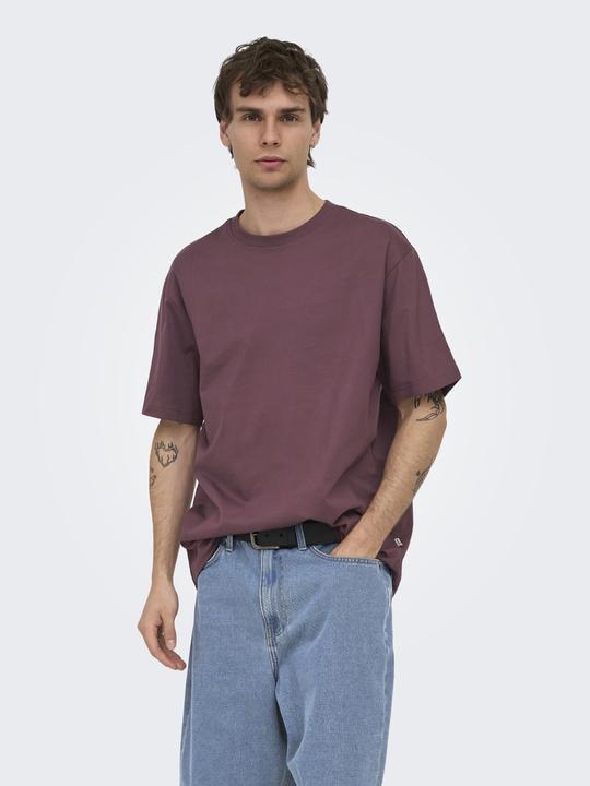 Produktbild Only & Sons Onsfred Life Rlx Ss Tee Noos (S)