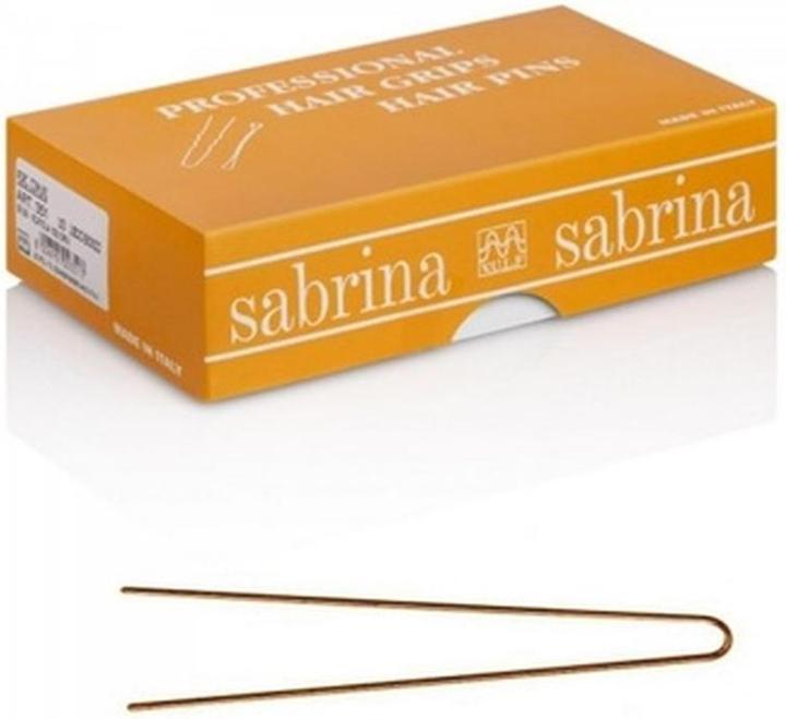 Sabrina Unsichtbare Haarnadeln 500g LACA.002 (1 Stk.)