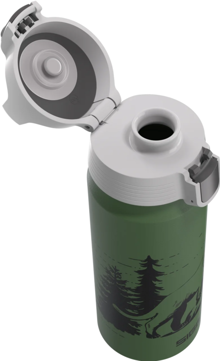 Image du produit Sigg WMB One (0.60 l)