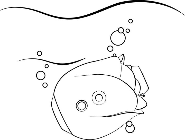 Actual product image Romp Rose