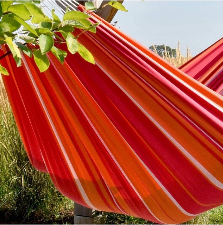 Actual product image Vivere mimosa (205 kg)