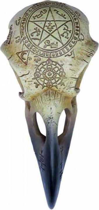 Actual product image Horror-Shop Alchemy Gothic Omega Raven Skull