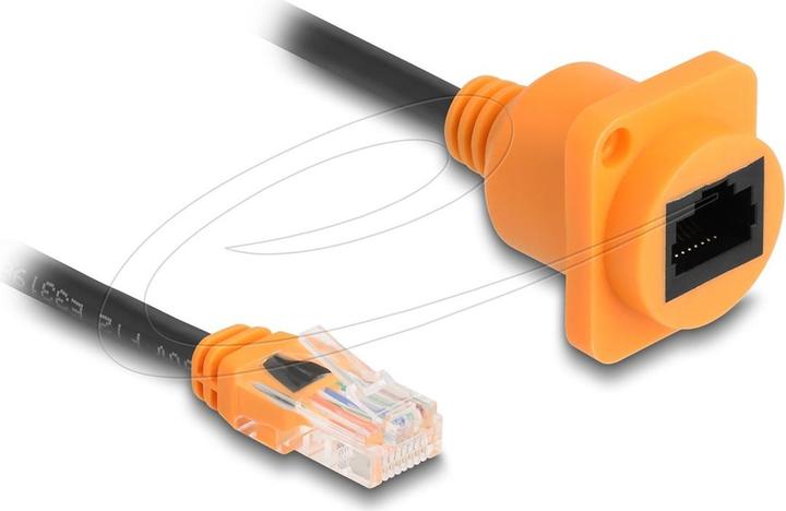 Actual product image Delock D-Typ RJ45 Kabel Stecker zu Buchse Cat.5e UTP orange (UTP, CAT5e, 0.30 m)