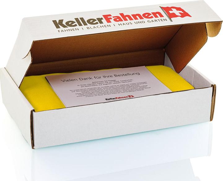 Actual product image Keller Fahnen Sportfahne BSC YB official «Classic» Polyester 80x80 cm