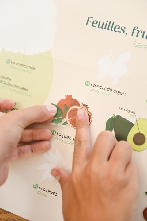 Immagine prodotto Poppik Sticker Lernposter Bäume