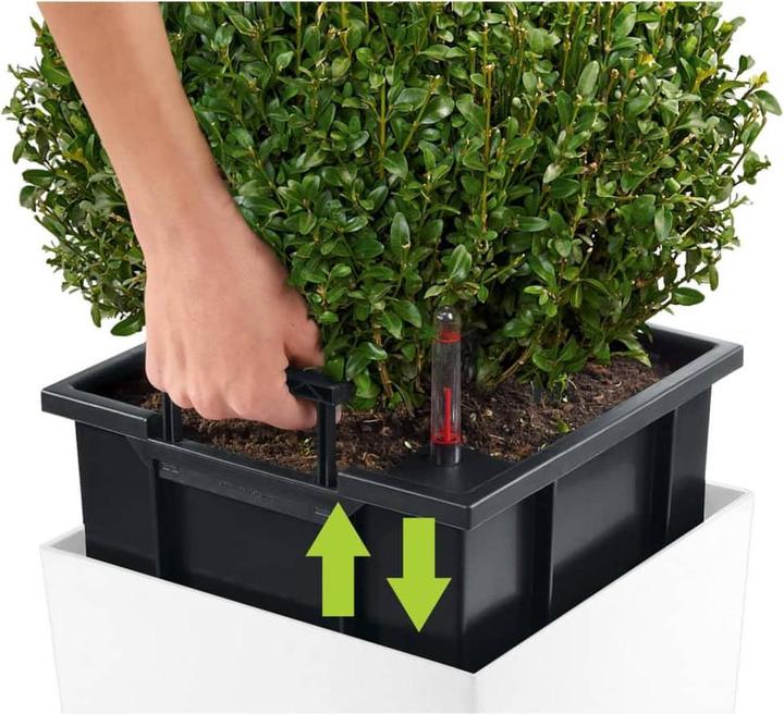 Produktbild Lechuza Cube 30 (29.50 x 29.50 x 30 cm)