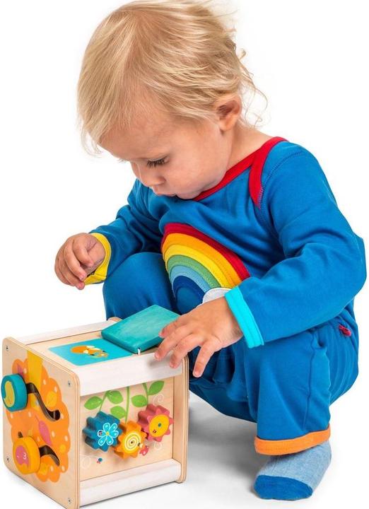 Actual product image Le Toy Van Activity cube