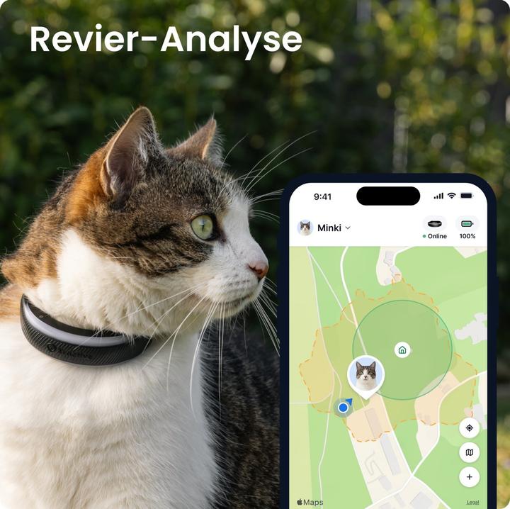 Actual product image Tractive CAT 6 mini (Cat)
