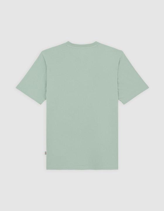 Actual product image Dickies Ss Mapleton Tee Iceberg Green (M)