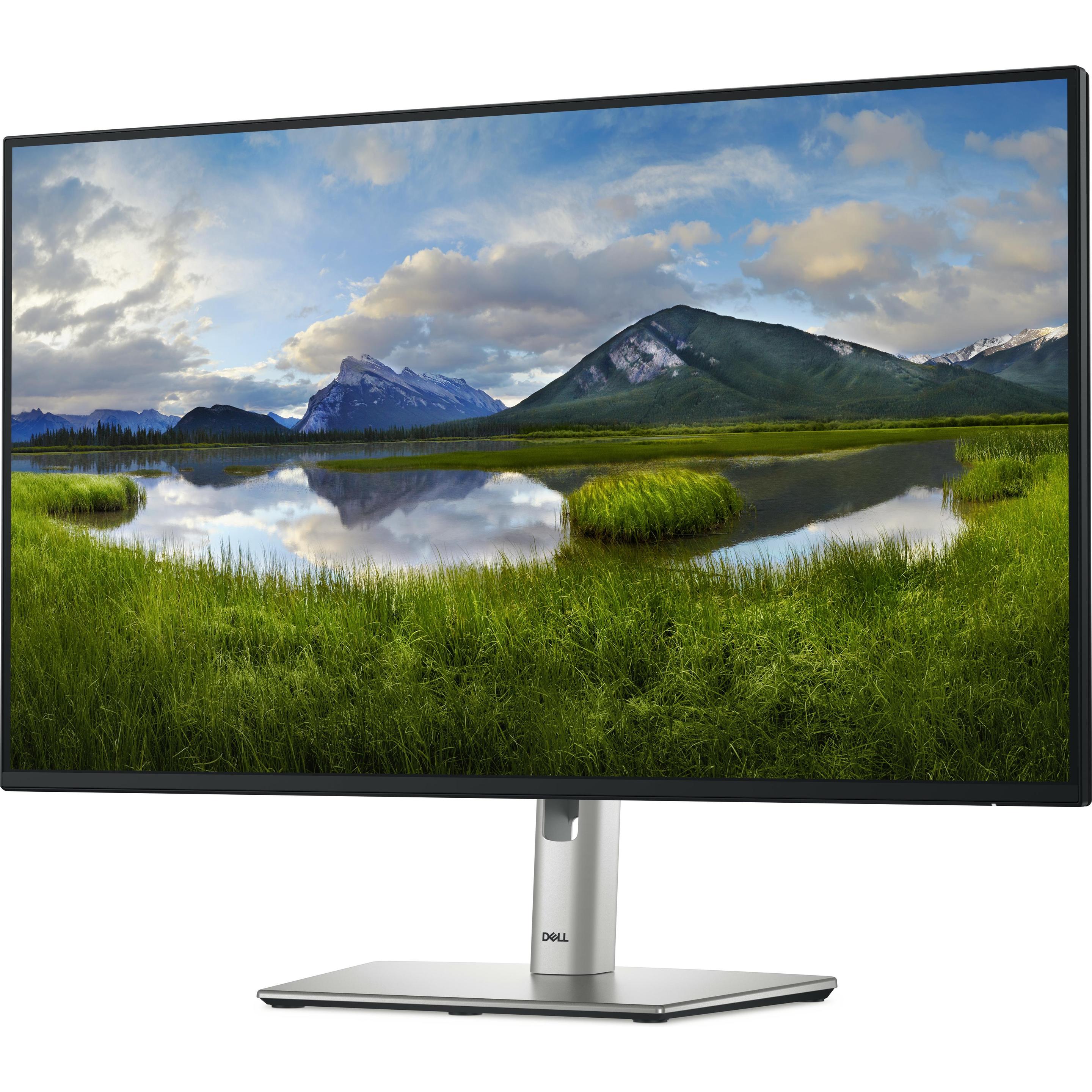 Dell P2725H (1920 x 1080 Pixel, 27"), Monitor, Grau