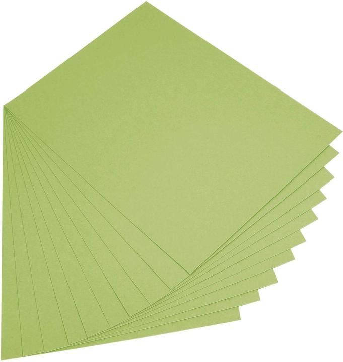Image du produit Folia Papier tonique, DIN A4, 130 g/qm, maigrn (130 g/m², 100 x)