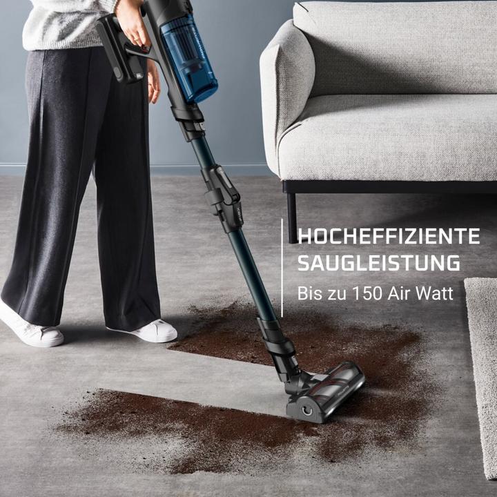 Actual product image Rowenta X-Force Flex 13.60 Animal Aerospin RH9AD1