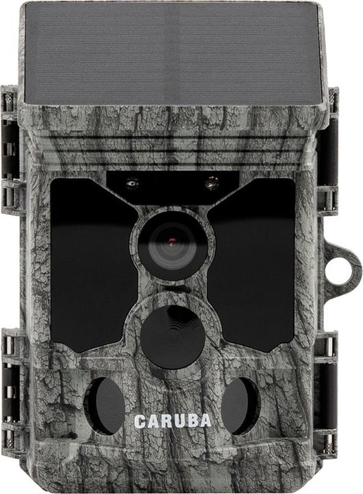 Produktbild Caruba Raccoon