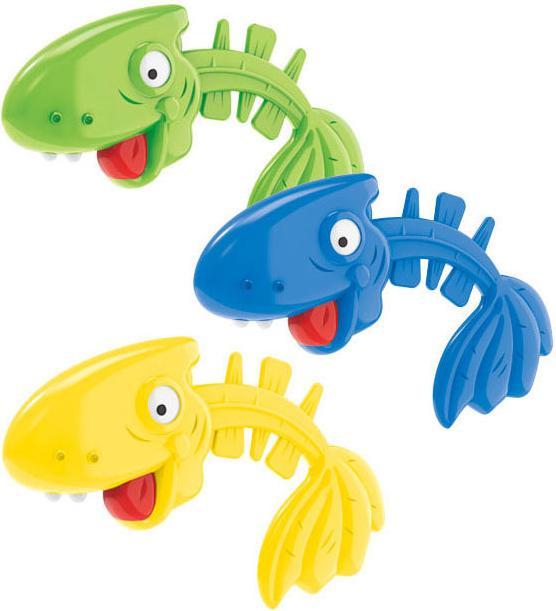 Duiken Vissen Bottenkamp