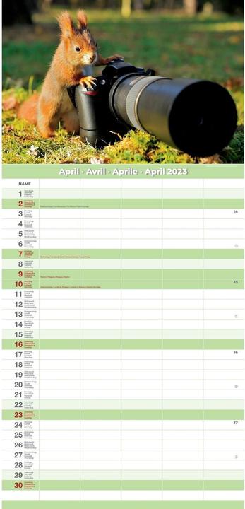 Produktbild Familienplaner Premium Funny 2023 24.5 x 51.5 cm (24.5 x 51.5 cm)