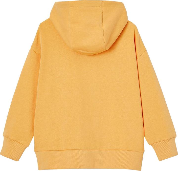 Produktbild Vertbaudet Jungen Kapuzensweatshirt mit Print und Recycling-Polyester (98)