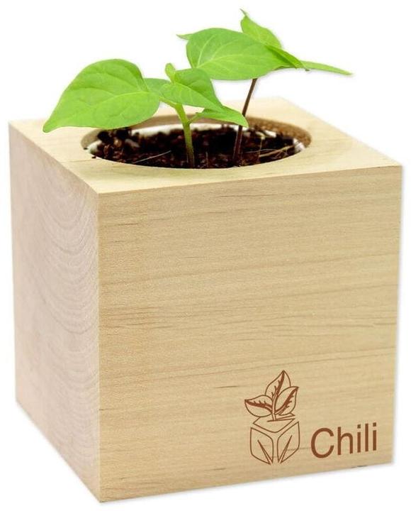 Image du produit Feel Green Ecocube (Graines de légumes)