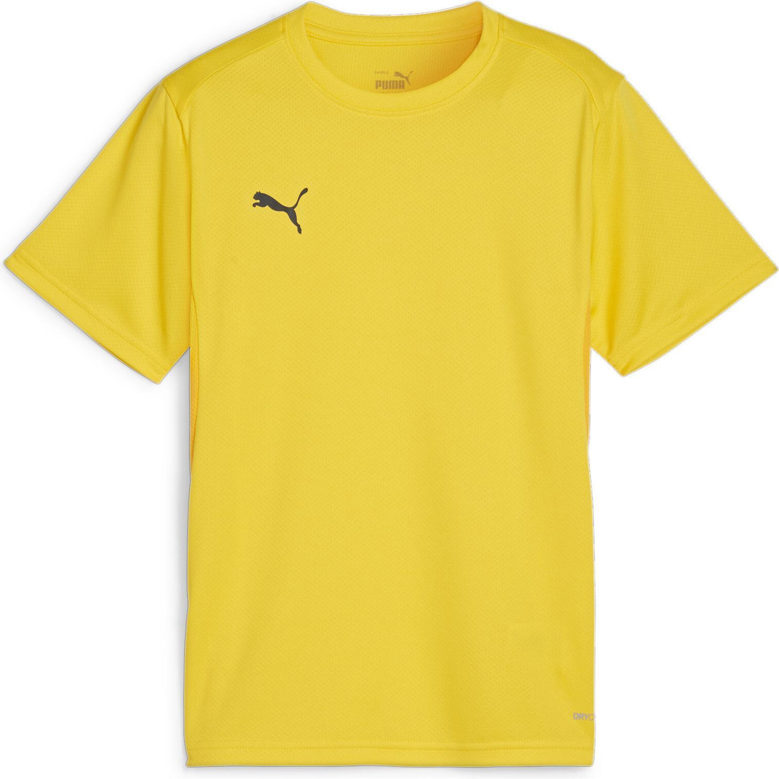 Puma, Jungen, Sportshirt, teamGOAL Jersey Jr (164), Gelb, 164