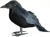 Immagine prodotto Kögler Decorazione Halloween corvo, 16x9x6 cm (16 x 16 x 5 cm)