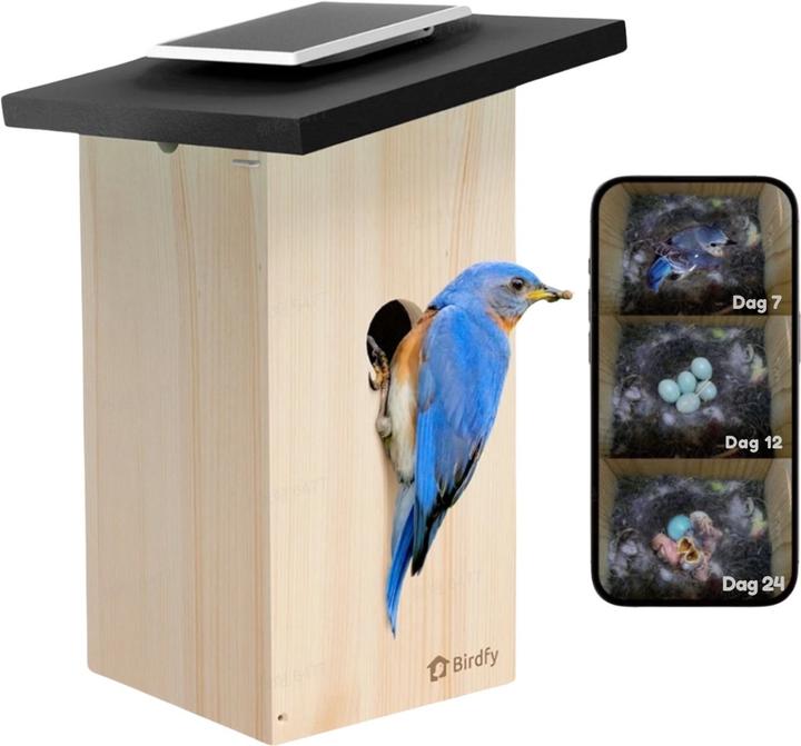 Image du produit Netvue Vogelhaus Nistkasten mit Kamera und Solar