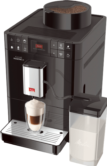 Actual product image Melitta Passione OT