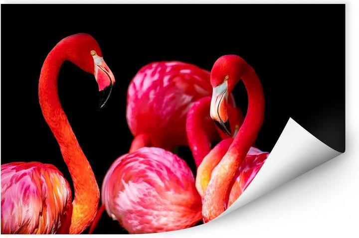 Image du produit Trenddeko Flamant rose (45 x 30 cm)