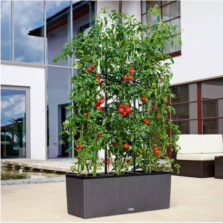 Actual product image Lechuza Trellis Trio Cottage 30 (86 cm, 86 cm)