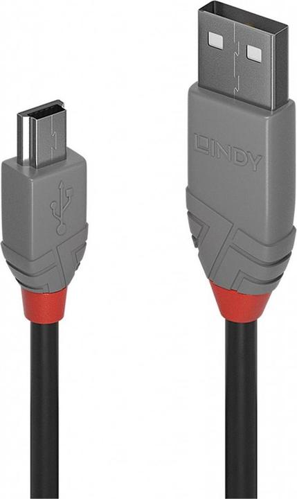 Actual product image Lindy USB A – USB Mini B (3 m, USB 2.0)