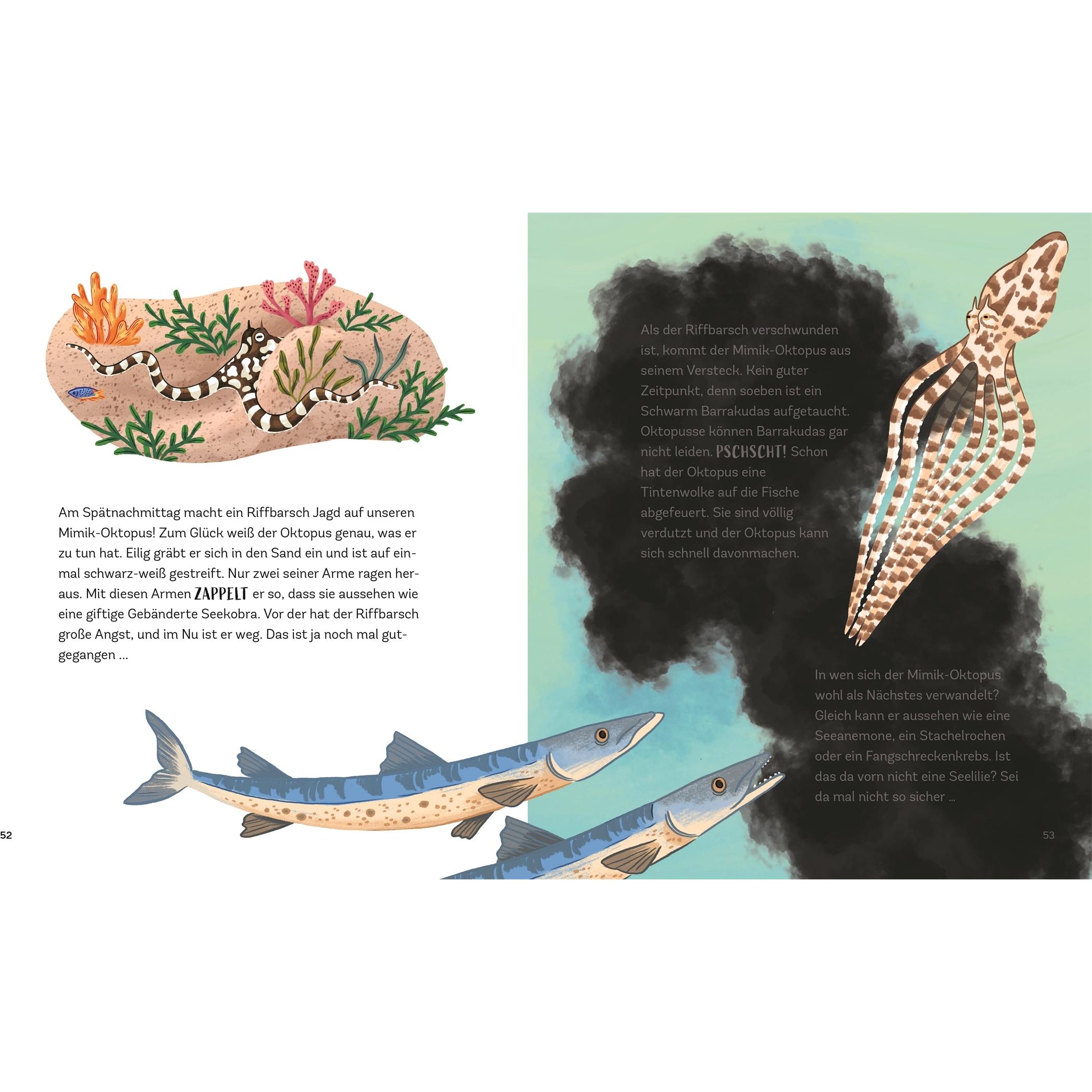 Thumbnail - Klepeis:Zauber des Meeres, Kinderbücher von Alicia Klepeis, Maria Zettner, Kaja Kajfež, DK Verlag - Kids