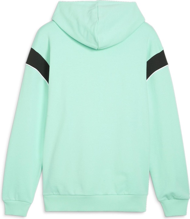 Actual product image Puma ÖFB FtblArchive Hoodie (M)