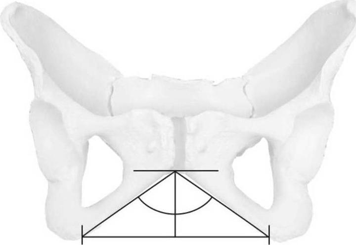 Produktbild Ergon SF Sport Gel