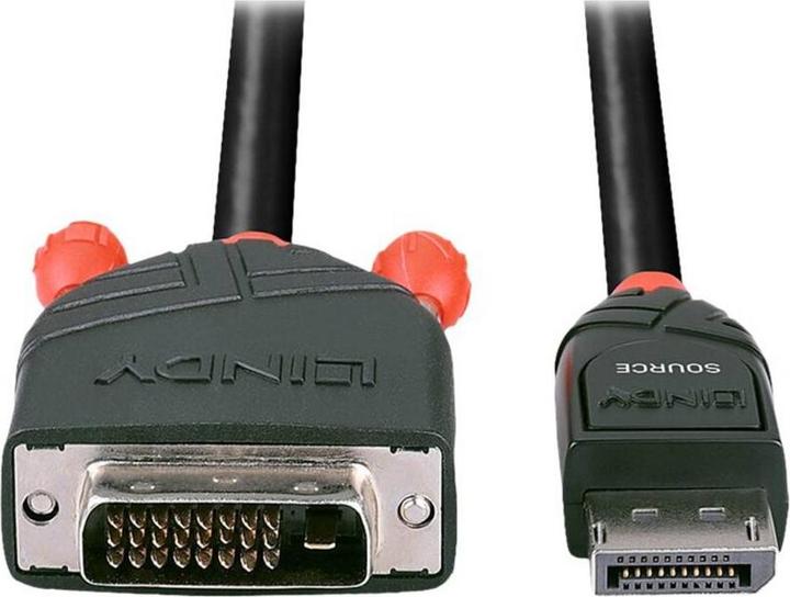 Image du produit Lindy DisplayPort — DVI (2 m)