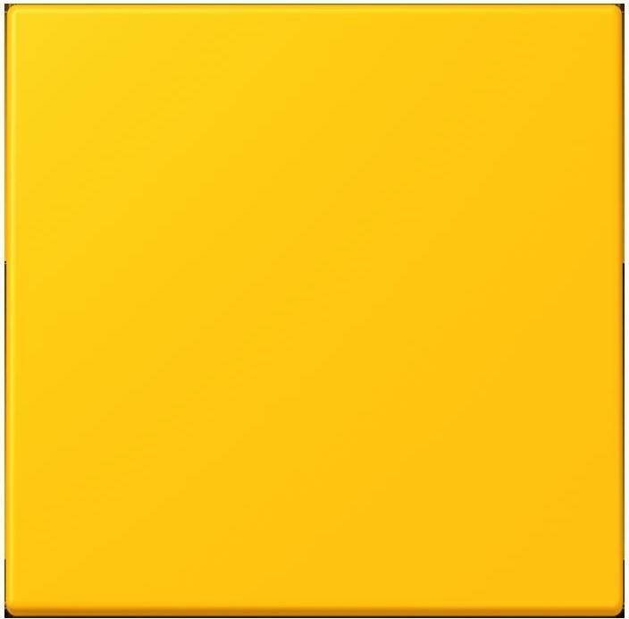 Actual product image JUNG Radio wall transmitter