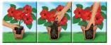 Produktbild Compo Sana® Blumenerde 50 L (50 l)