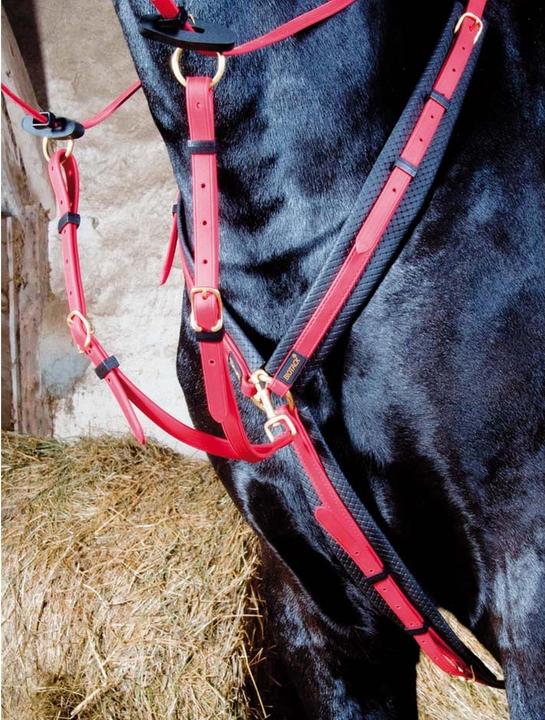 Image du produit TdeT Collier de chasse pour cheval