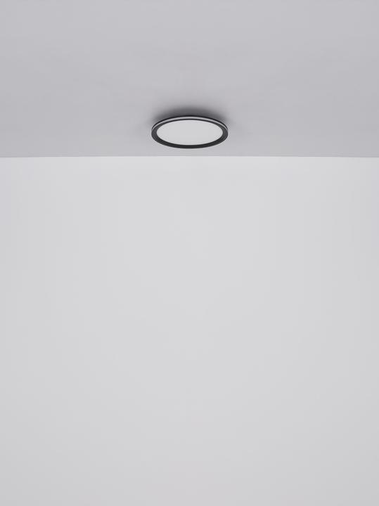 Actual product image Globo Belissa