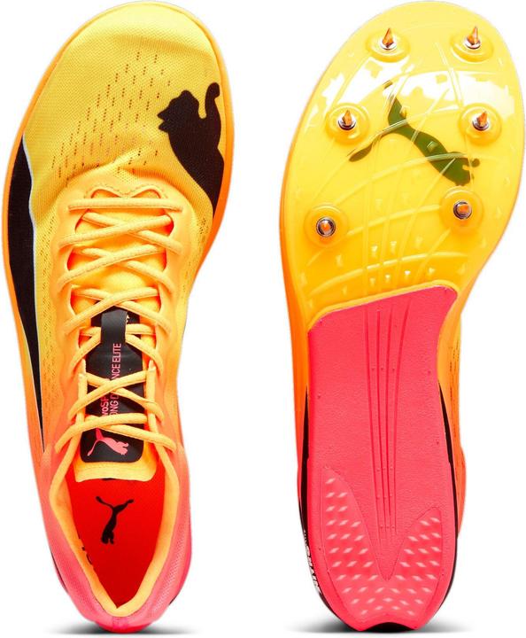 Produktbild Puma evoSPEED Long Distance Nitro Elite+ (44.5)