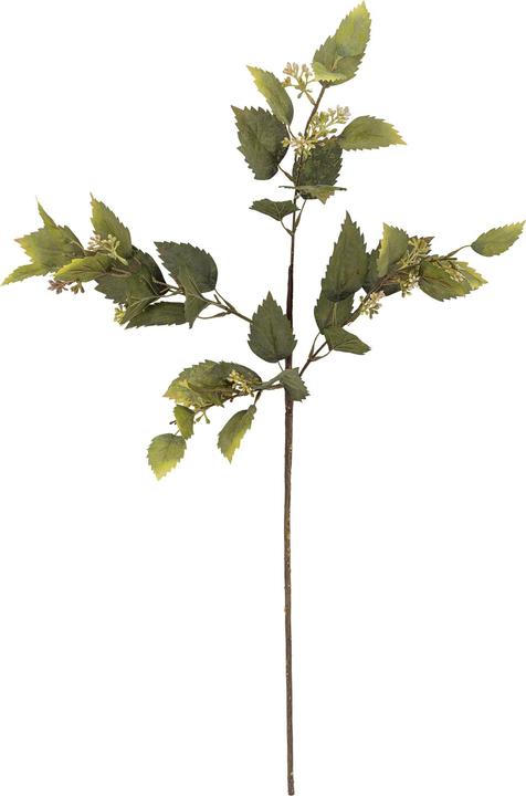 Immagine prodotto Bloomingville Eucalipto (92 cm)