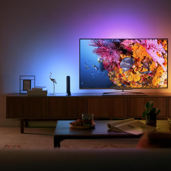Immagine prodotto Philips Hue Espansione Play (530 lm)