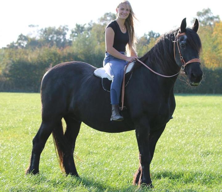 Image du produit F.R.A Coussin d'équitation Free