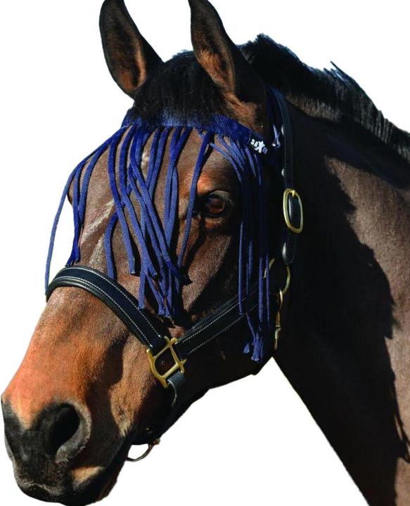 Actual product image Saxon Horses FlyFringes