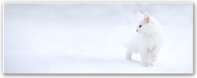 Image du produit Trenddeko Prexus - Blanc comme neige (80 x 30 cm)