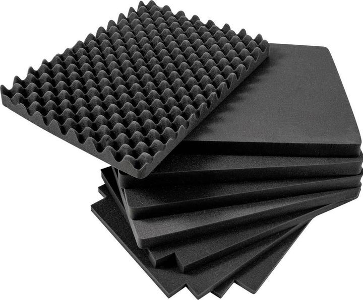 Actual product image B+W Foam insert SI For type 6800 (Photo case)