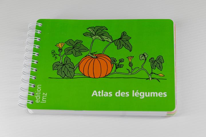 Actual product image Zollinger Bio Vegetable atlas (Vegetable seeds)